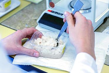 Laboratory assistant prepares sample in food control laboratory with Spartel, Freiburg, Baden-Wuerttemberg, Germany, Europe