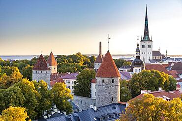 View over the Old Town, Patkuli Vaateplatvorm, city fortification with towers, Tallinn, Estonia, Europe