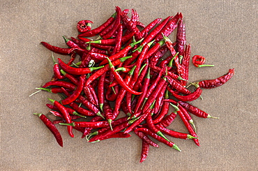 Dried Nepalese red chilli peppers, Nepal, Asia