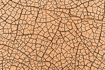 Cracks in the clay soil form mosaic-like structure, geothermal field, Namafjall, Myvatn, Krafla volcanic system, Northern Iceland, Iceland, Europe