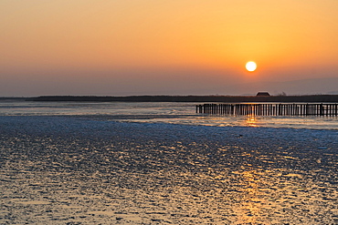 Winter sunset, last patches of ice, Lake Neusiedl, Breitenbrunn, Burgenland, Austria, Europe