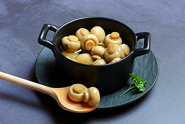 Canned common mushrooms (Agaricus bisporus) in pot