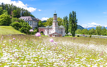 Flower meadow in front of the monastery St. Karl, St. Charles's Church, monastery church St. Karl Borromaeus, Rokoko, Volders, Tyrol, Austria, Europe