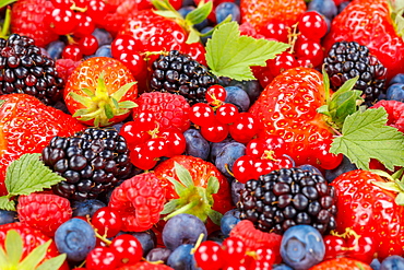 Berries Fruits Berry Fruit Strawberries Strawberry Blueberries Blueberry