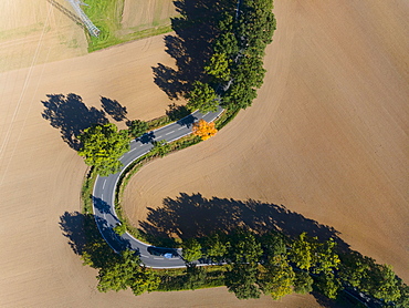 Drone image, curve in autumnal forest, Roter Berg, L485, between Diekholzen and Sibbesse, Hildesheim district, Lower Saxony, Germany, Europe