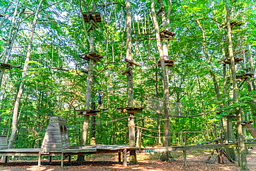 Boy climbing in the climbing forest and high ropes course, Potsdam Adventure Park, Potsdam, Brandenburg, Germany, Europe