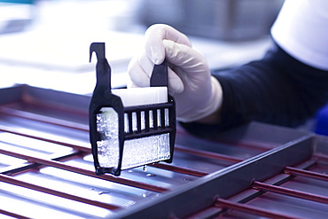 Sample processing with laboratory equipment in a histology laboratory, Freiburg, Baden- Wuerttemberg, Germany, Europe