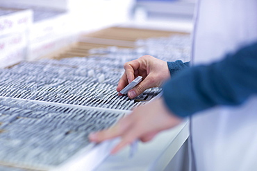 Sample storage and sorting in a histology laboratory, Freiburg, Baden- Wuerttemberg, Germany, Europe