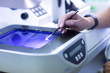 Processing of samples in a histology laboratory, Freiburg, Baden- Wuerttemberg, Germany, Europe