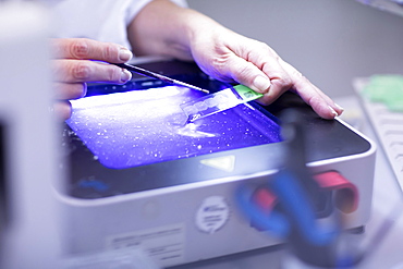 Processing of samples in a histology laboratory, Freiburg, Baden- Wuerttemberg, Germany, Europe