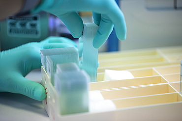 Processing of samples in a histology laboratory, Freiburg, Baden- Wuerttemberg, Germany, Europe