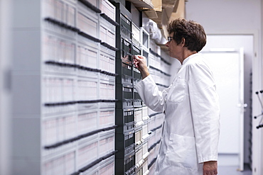 Technician working in a laboratory archive, Freiburg, Baden- Wuerttemberg, Germany, Europe