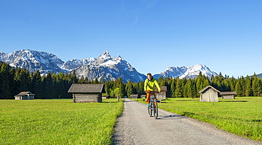 Mountain biker on road through meadow with hay barns, behind snowy mountain peaks in spring, Mieminger Kette with Ehrwalder Sonnenspitze, Ehrwald, Tyrol, Austria, Europe