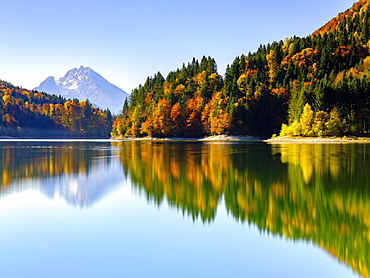 Watzmann and autumn forest reflected in the lake, Wiestal, Hallein, Salzburg, Austria, Europe