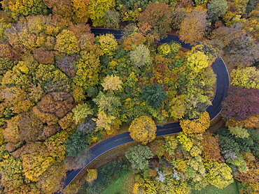 Aerial view of a serpentine in the Teutoburg Forest in autumn, Lienen, North Rhine-Westphalia, Germany, Europe