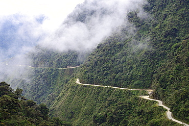 Clouds of fog on the Death Road, Camino de la Muerte, La Paz Department, Bolivia, South America