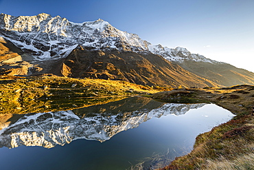 Snow-covered mountains reflected in mountain lake, Guggisee, Bietschhorn, Fafleralp, Loetschental, Valais, Switzerland, Europe