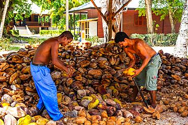 Coproduction, L'Union Estate, Granite Island, La Digue, Seychelles, La Digue, Seychelles, Africa