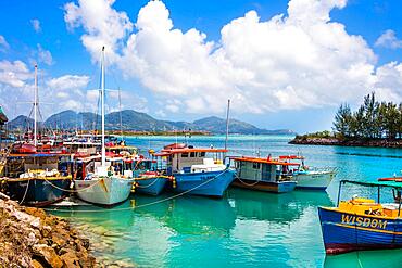 Fishing port, Victoria, Mahe, Seychelles, Victoria, Mahe, Seychelles, Africa