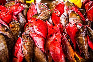 Fish sale at the market hall, Sir Selwyn Selwyn Clarke Market, Victoria, Mahe, Seychelles, Victoria, Mahe, Seychelles, Africa