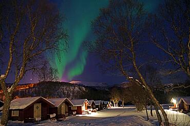 Small cabins in wintry landscape, Northern Lights, Aurora Borealis, Sortland, Vesteralen, Nordland, Scandinavia, Norway, Europe