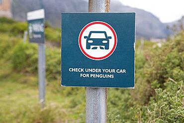 Sign pointing out penguins, Boulders Beach, Simon's Town, Western Cape, South Africa, Africa