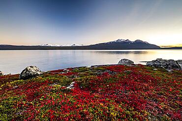 Autumnal fell landscape with lake Akkajaure and mountain range Akka, evening mood, Stora Sjoefallet National Park, Laponia, Norrbotten, Lapland, Sweden, Europe