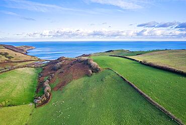 Farmland over Man Sands, Brixham, Kingswear, Devon, England, United Kingdom, Europe