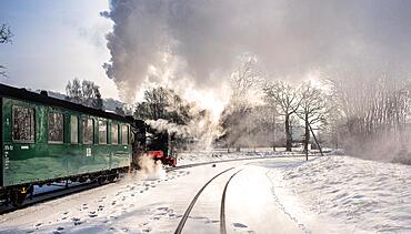 The historic railway Rasender Roland on the island of Ruegen, Ruegen, Germany, Europe