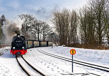 The historic railway Rasender Roland on the island of Ruegen, Ruegen, Germany, Europe