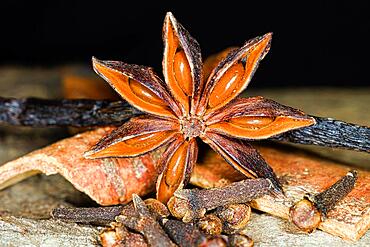 Star anise (Illicium verum), vanilla pod, cloves (Dianthus) and cinnamon bark, studio photography with black background