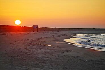 Sunset on Grenen beach, sandy beach, Skagen, North Jutland, Denmark, Europe