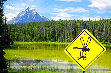 Composition, giant mosquito on traffic sign, mountain lake, Canada, North America