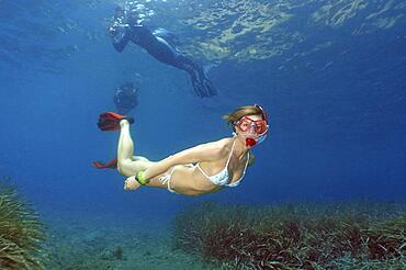 Snorkeler dives down swims over sea grass (Posidonia oceanica), in the background snorkeler on the water surface, Mediterranean Sea