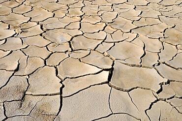 Dried out clay soil with cracked clay slabs