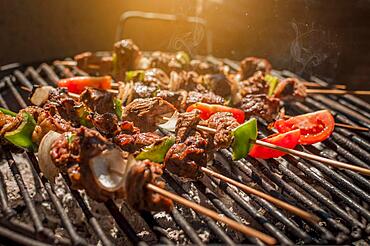 Roast beef skewers on a grill, Roast beef skewers grilling on a grill