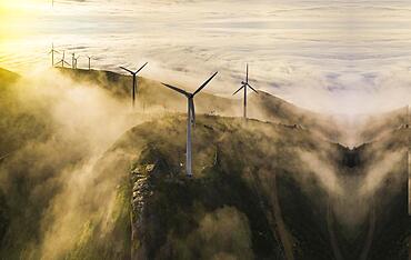 Windmill in the field, windmill with solar plants, renewable resources for the environment