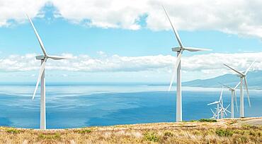 Windmill in the field, five windmill with solar plants, renewable resources for the environment