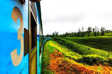 Train ride with the blue train, from Kandy to Ella, highlands and the tea plantations of Sri Lanka, Sri Lanka, Asia