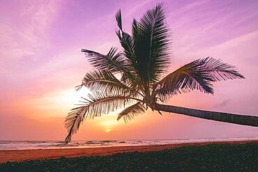 Induruwa beach at sunset, Sri Lanka, Asia