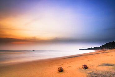 Induruwa beach with coconuts, at sunset, Sri Lanka, Asia