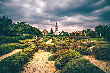 Common lavender (Lavandula angustifolia) farm with a church in the background and the sunset. flowering lavender, Doergicse at Lake Balaton, Balaton, Hungary, Europe