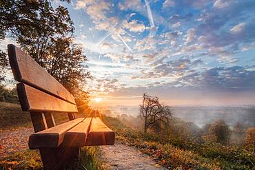 Winter with fog and bench in the sunrise, Hesse, Germany, Europe