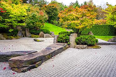 Japanese garden with gravel bed and stone formation, Berlin, Germany, Europe