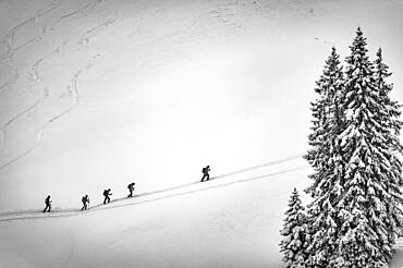 Ski tourers in wintry mountain landscape, Gunzesried, Oberallgaeu, Bavaria, Germany, Europe