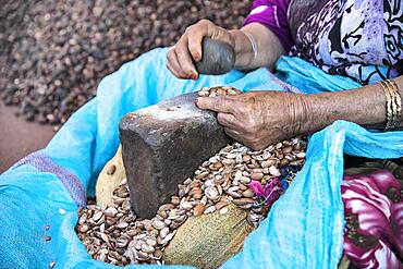 Woman knocks open the hard kernels of the argan nut with the help of two stones, Morocco, Africa