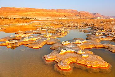 Sunrise at the Dead Sea, Israel, Asia