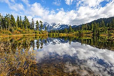 Mt. Shuksan glacier with snow reflecting in Picture Lake, forested mountain landscape in autumn, Mt. Baker-Snoqualmie National Forest, Washington, USA, North America