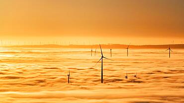 Wind turbines rising from cloud cover, silhouettes at sunset, Koeterberg, Luegde, Weserbergland, North Rhine-Westphalia