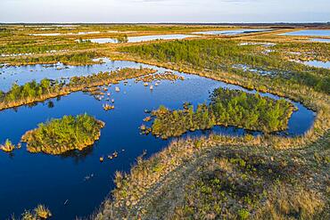 Aerial view of the Goldenstedt Moor, rewetting, renaturation, Goldenstedt, Lower Saxony, Germany, Europe